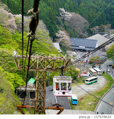 吉野山　桜　奈良県 137639628