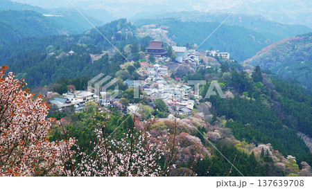 吉野山 桜 奈良県 吉野山 桜 奈良県 137639708