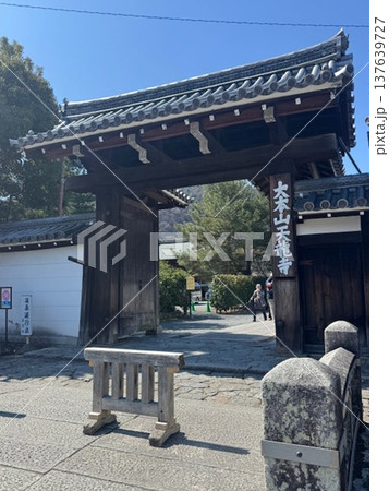 京都 嵐山 天龍寺 137639727