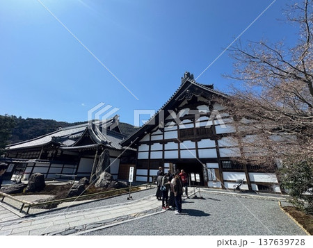 京都 嵐山 天龍寺 京都 嵐山 天龍寺 137639728