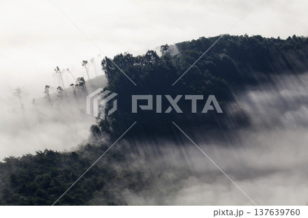 In the early morning, a sea of clouds covers Guksabong Peak in Imsil-gun, Jeollabuk-do. In the early morning, a sea of clouds covers Guksabong Peak in Imsil-gun, Jeollabuk-do. 137639760