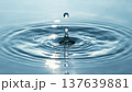 水滴が落ちる瞬間 137639881
