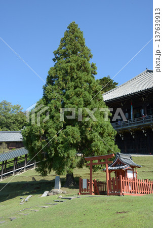 東大寺 二月堂 奈良市雑司町 東大寺 二月堂 奈良市雑司町 137639913