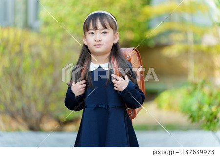 ランドセルを背負う小学生の女の子 ランドセルを背負う小学生の女の子 137639973