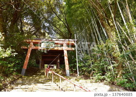 滋賀県彦根市　大洞弁財天（長寿院）の朱色鳥居と石段 137640885