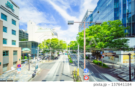 東京 原宿 表参道 東京 原宿 表参道 137641184