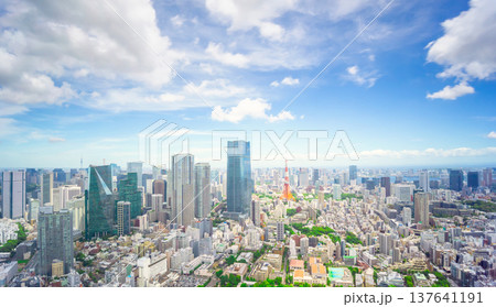 東京都心風景 摩天楼ビル群 137641191