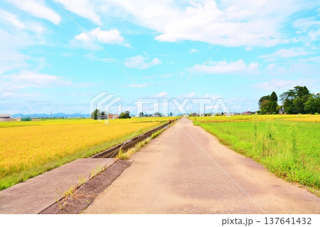 秋の田園風景 137641432