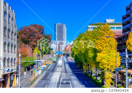 秋の東京・明治通り 学習院下 秋の東京・明治通り 学習院下 137641454