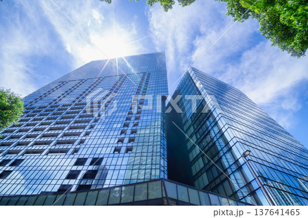 高層ビル群と太陽の光条 137641465