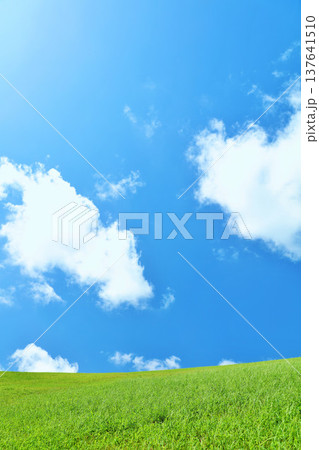 爽やかな夏の青空と新緑の草原風景 137641510