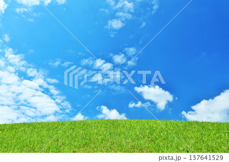 爽やかな夏の青空と新緑の草原風景 137641529