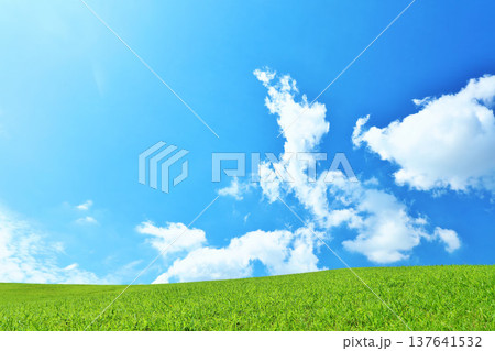 爽やかな夏の青空と新緑の草原風景 爽やかな夏の青空と新緑の草原風景 137641532