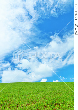 爽やかな夏の青空と新緑の草原風景 137641534