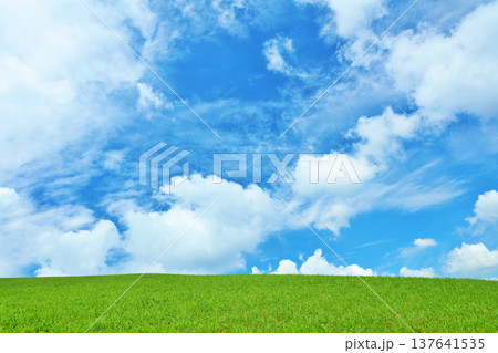 爽やかな夏の青空と新緑の草原風景 137641535