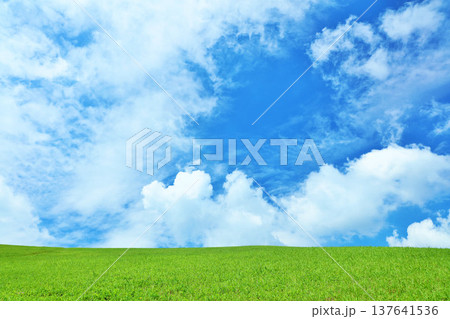 爽やかな夏の青空と新緑の草原風景 爽やかな夏の青空と新緑の草原風景 137641536