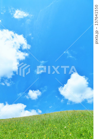 爽やかな夏の青空と新緑の草原風景 137641550