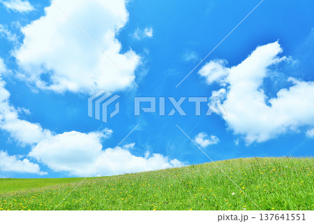 爽やかな夏の青空と新緑の草原風景 137641551
