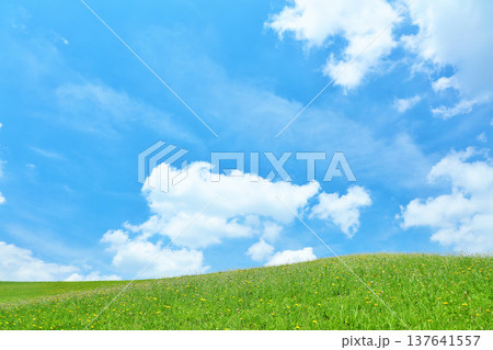 爽やかな夏の青空と新緑の草原風景 137641557