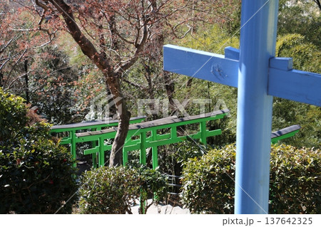 七色の鳥居が迎えてくれる足利織姫神社 137642325