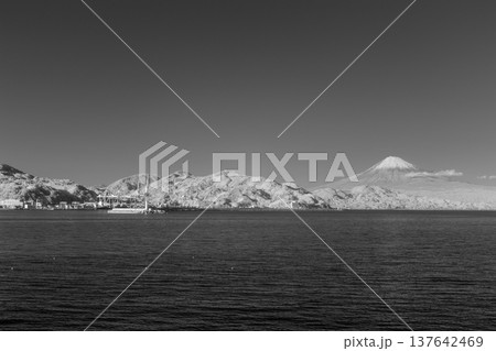 富士山と清水港を望む幻想的な赤外線風景 富士山と清水港を望む幻想的な赤外線風景 137642469