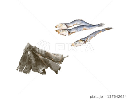煮干しとだし昆布のイラスト 煮干しとだし昆布のイラスト 137642624