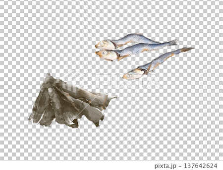 Illustration of dried sardines and kelp for making broth 137642624