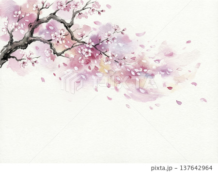 水彩画　手描き　桜 137642964