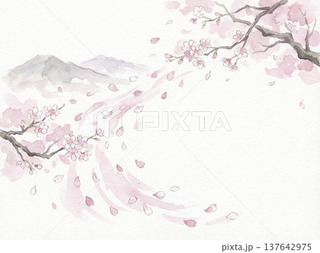 水彩画 手描き 桜 水彩画 手描き 桜 137642975