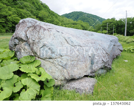 鯨のように見えるチロロの巨石 137643062