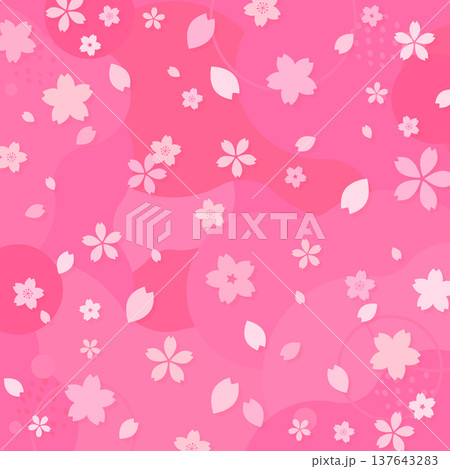 ピンクのポップな桜背景6_正方形 137643283