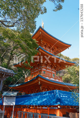 神戸・須磨寺・三重塔 137643288