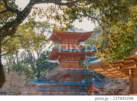 神戸・須磨寺・三重塔 神戸・須磨寺・三重塔 137643296