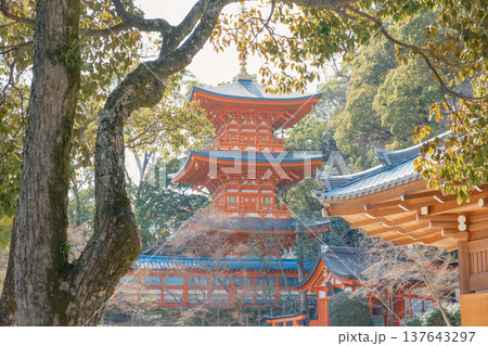 神戸・須磨寺・三重塔 神戸・須磨寺・三重塔 137643297