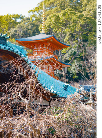 神戸・須磨寺・屋根越しに見る三重塔 神戸・須磨寺・屋根越しに見る三重塔 137643308