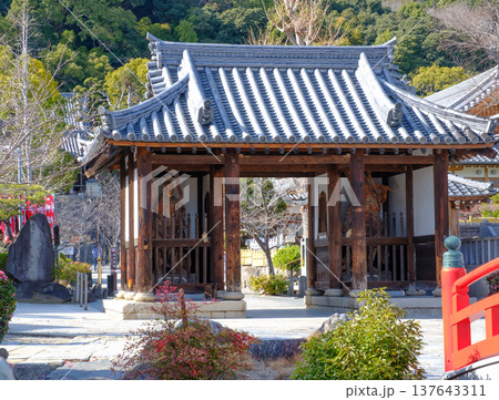 神戸・須磨寺の龍華橋と仁王門 神戸・須磨寺の龍華橋と仁王門 137643311