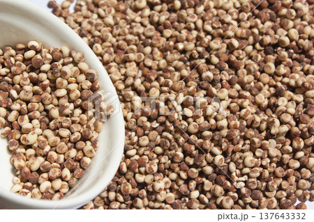 This is a close-up of sorghum. 137643332