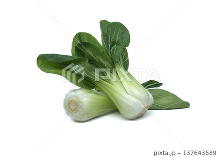 Two fresh bok choy vegetables with vibrant green leaves and pale stems on a white background 137643689