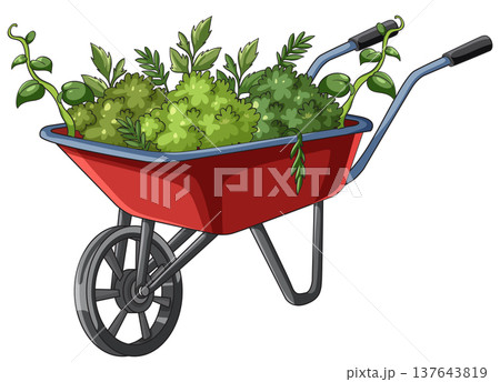 Red Wheelbarrow Filled With Lush Green Garden Plants Red Wheelbarrow Filled With Lush Green Garden Plants 137643819