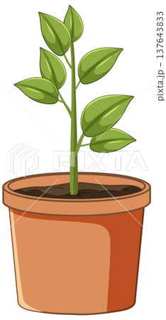 Young Green Plant Growing in Terracotta Pot Illustration 137643833
