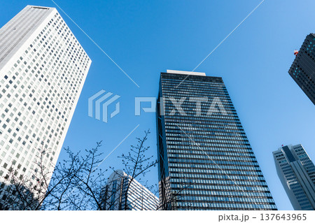 ビジネスの成長と未来を象徴する、青空にそびえ立つ新宿の摩天楼 ビジネスの成長と未来を象徴する、青空にそびえ立つ新宿の摩天楼 137643965