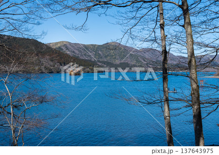 静かな森を歩く芦ノ湖トレッキング 137643975