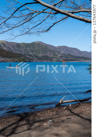 静かな森を歩く芦ノ湖トレッキング 137643977