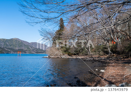 最強のパワースポット。龍神を祀る箱根・九頭竜神社本宮の神秘的な水中鳥居 137643979