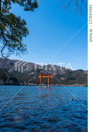 最強のパワースポット。龍神を祀る箱根・九頭竜神社本宮の神秘的な水中鳥居 137643985
