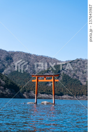 最強のパワースポット。龍神を祀る箱根・九頭竜神社本宮の神秘的な水中鳥居 最強のパワースポット。龍神を祀る箱根・九頭竜神社本宮の神秘的な水中鳥居 137643987