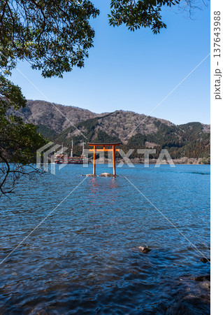 箱根・芦ノ湖の湖面に立つ九頭竜神社の水中鳥居と観光船の風景 137643988