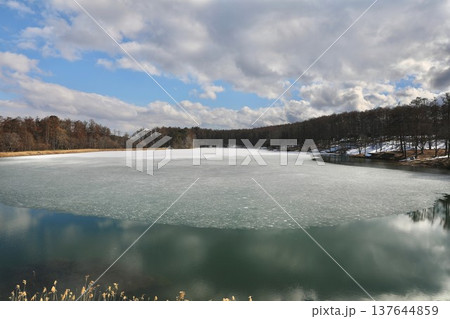 凍った大座法師池 137644859