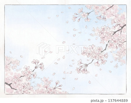 水彩画 青空と桜 水彩画 青空と桜 137644889