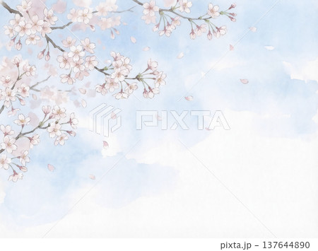 水彩画　青空と桜 137644890